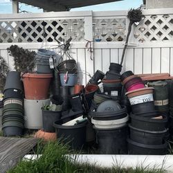 Plant Pots $2-5 Each