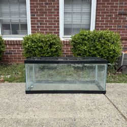 20gal Long Tank/Aquarium