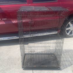 Jaula Para Pájaros Gatitos Conejos Y Perritos