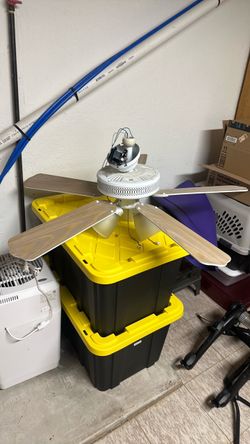 Ceiling fan with lights