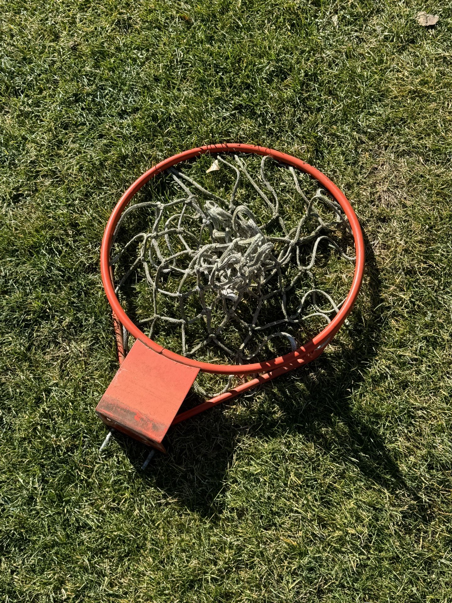 Basketball Hoop Rim