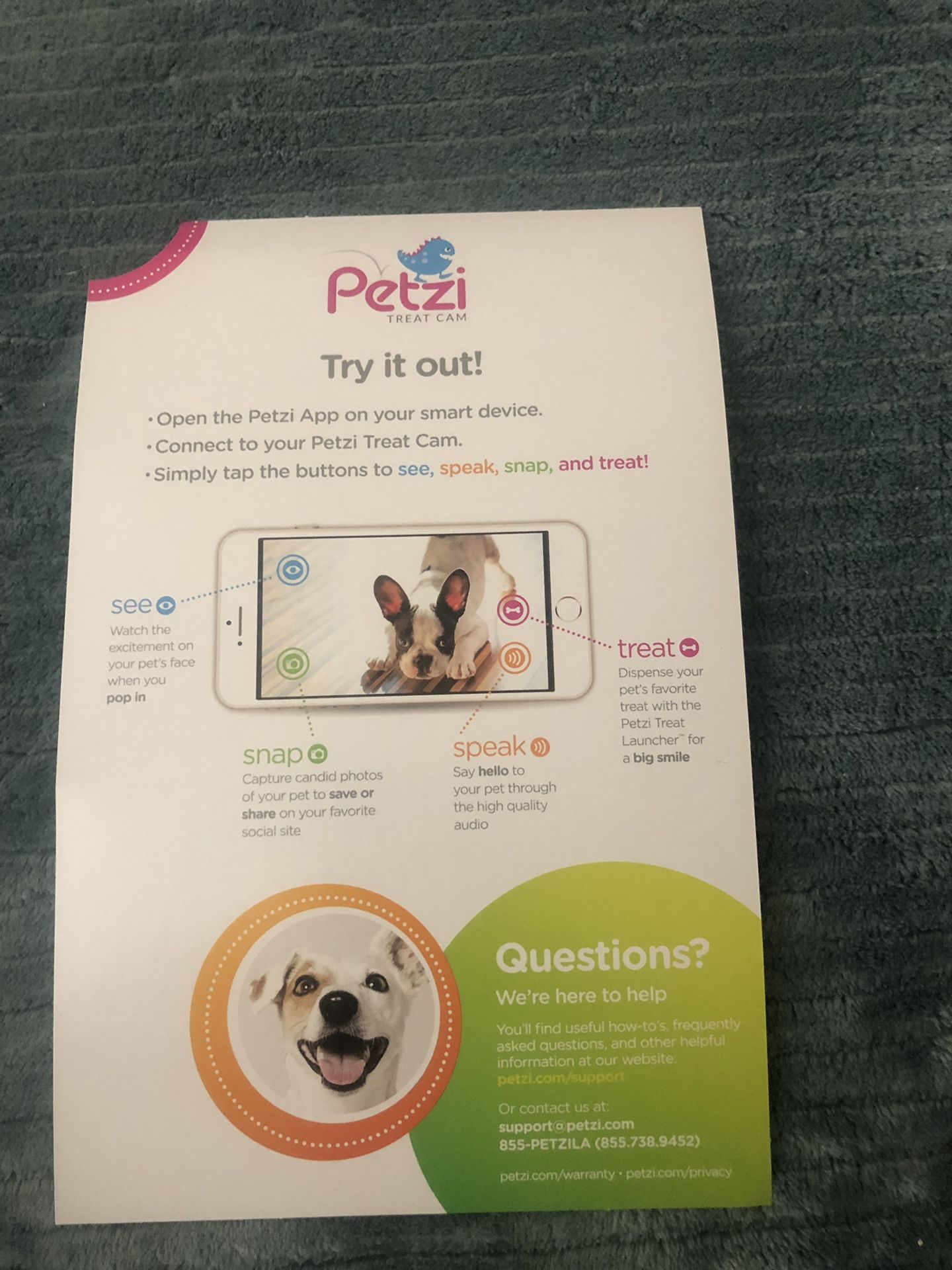 Pet I