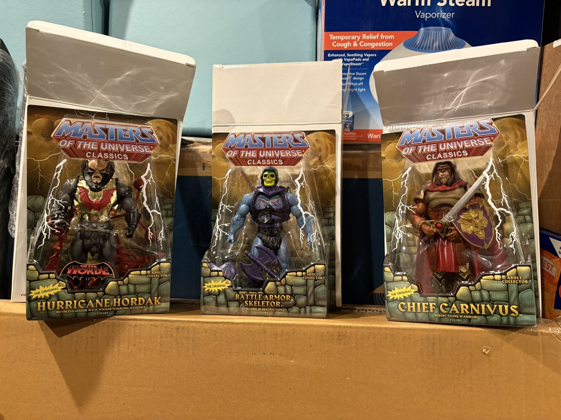 Masters Of The Universe Action Figures