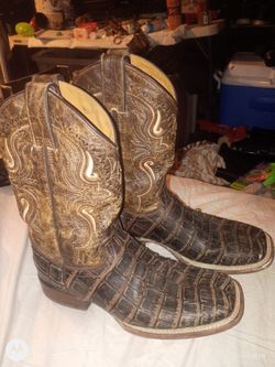 Gator boots