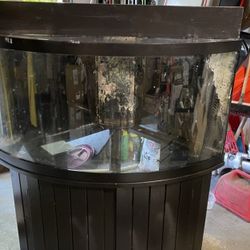 Fish Tank 
