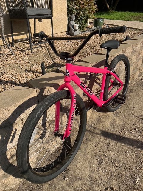 SE Bike “ Big Flyer “ 29er Practically Brand New
