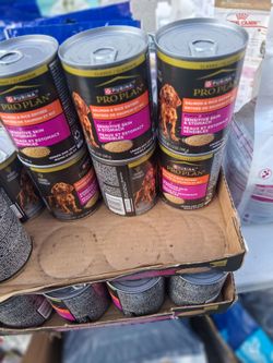 Dog food