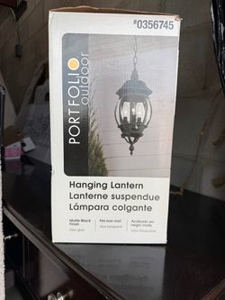 PORTFOLIO 3 -Light Black Traditional Clear glass Globe Medium (10-22 inches) Outdoor Hanging Pendant Light