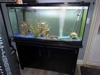 Fish tank