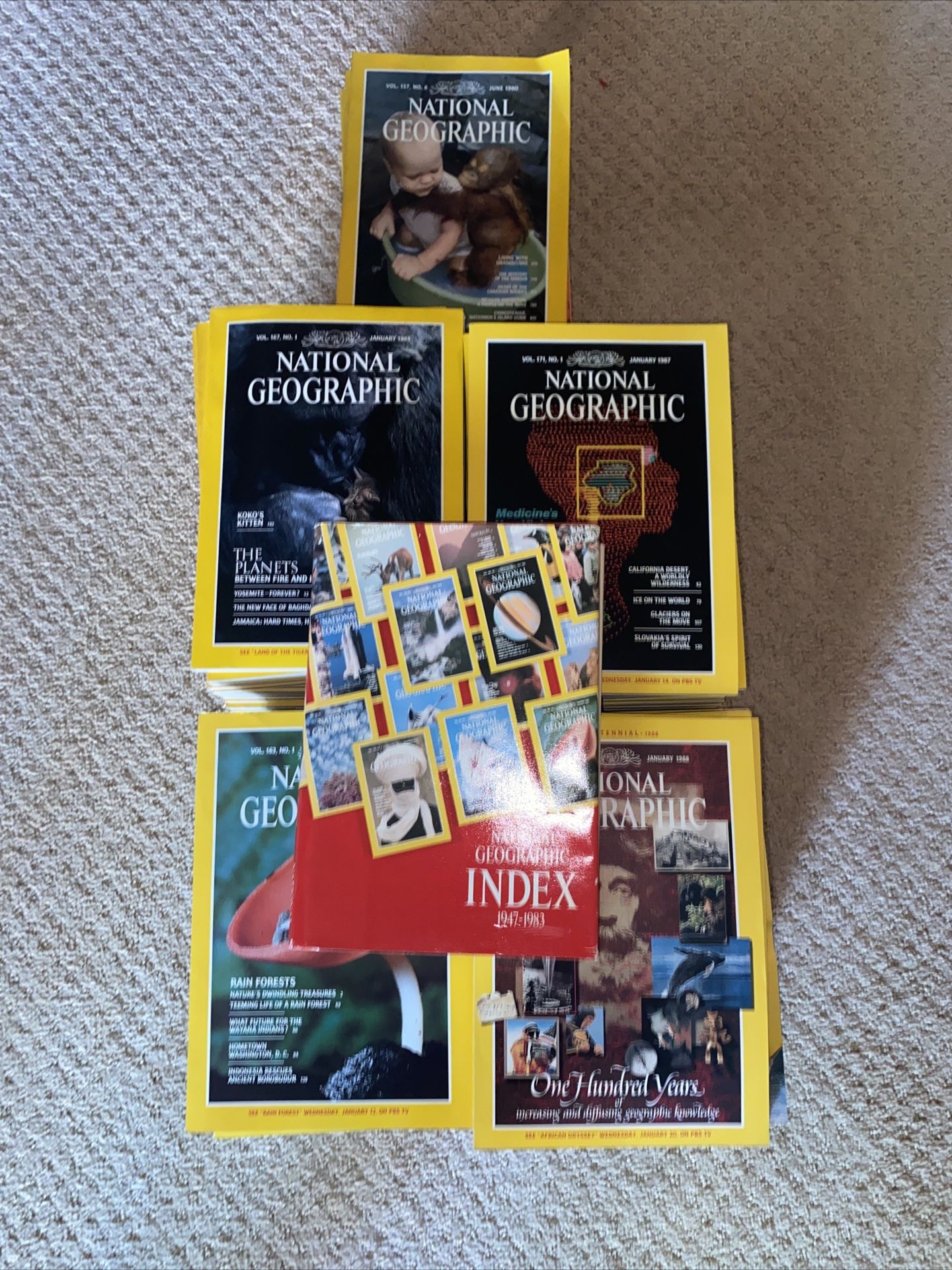 National Geographic Magazine 90’s DECADE HUGE LOT 1980-1989 WITH INDEX 1947-1983