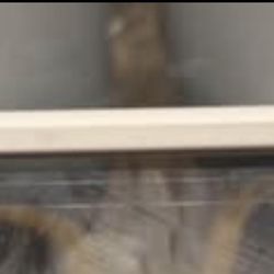 Apple Pencil 2nd Gen 