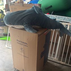 Large Shark 