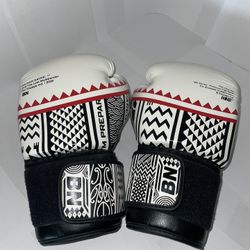 Boxing Gloves, 14 0Z Broken Native Israel, Adesanya