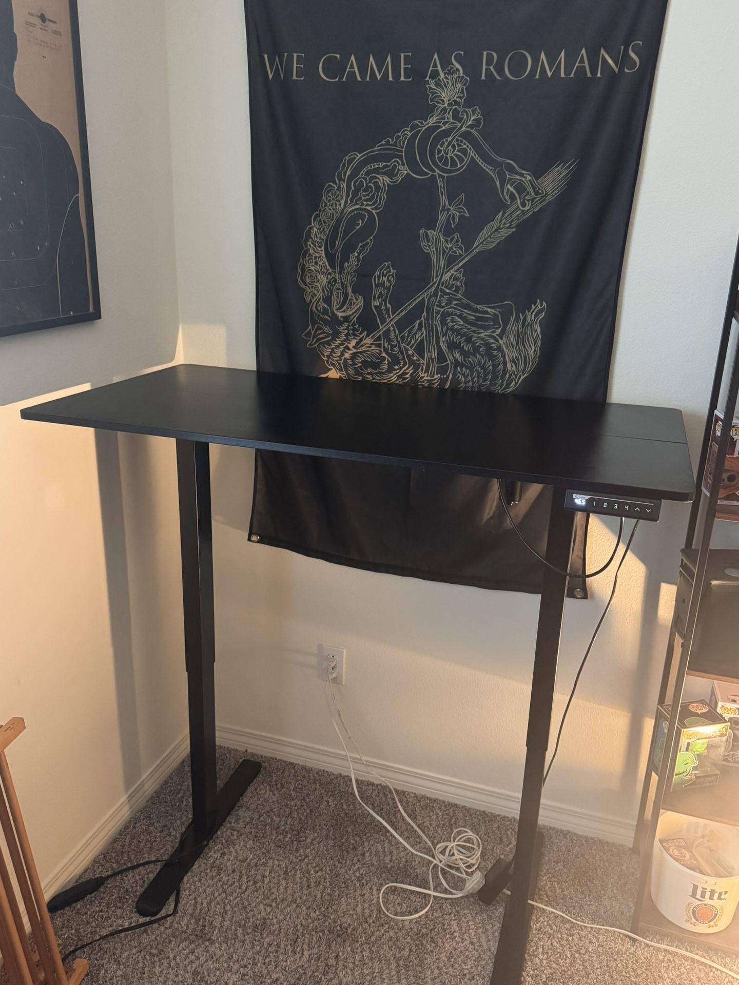 Standing Desk - Adjustable With Power Cord. Like New