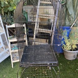 Parrot Cage 
