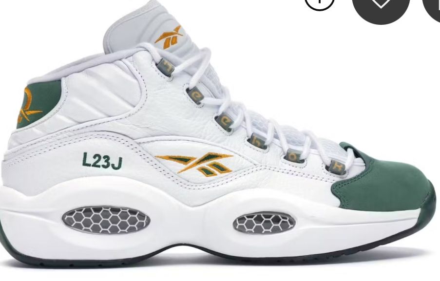 Packer Shoes x Reebok Question ( For player use only) LeBron James