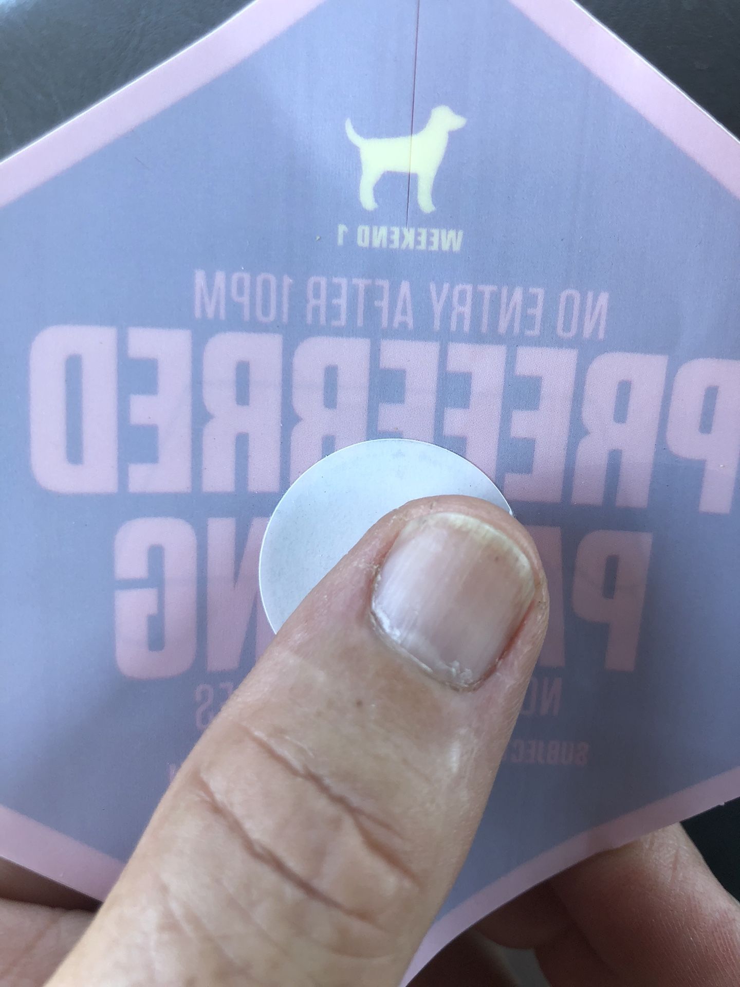 Sunday Coachella Preferred Parking Pass wk1