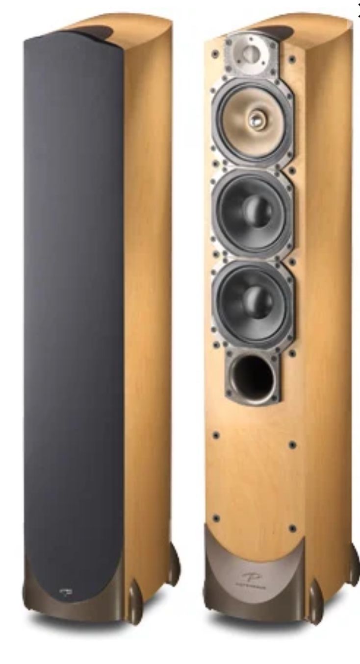 Paradigm Signature s6 V.3 Speaker Pair In Maple Finish 