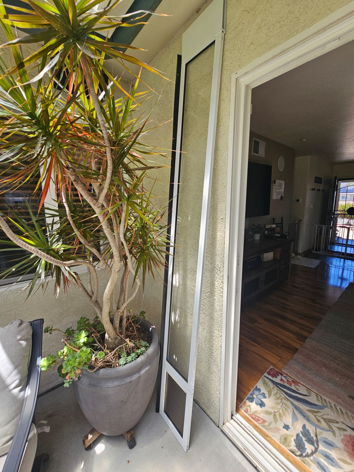 Doggy door