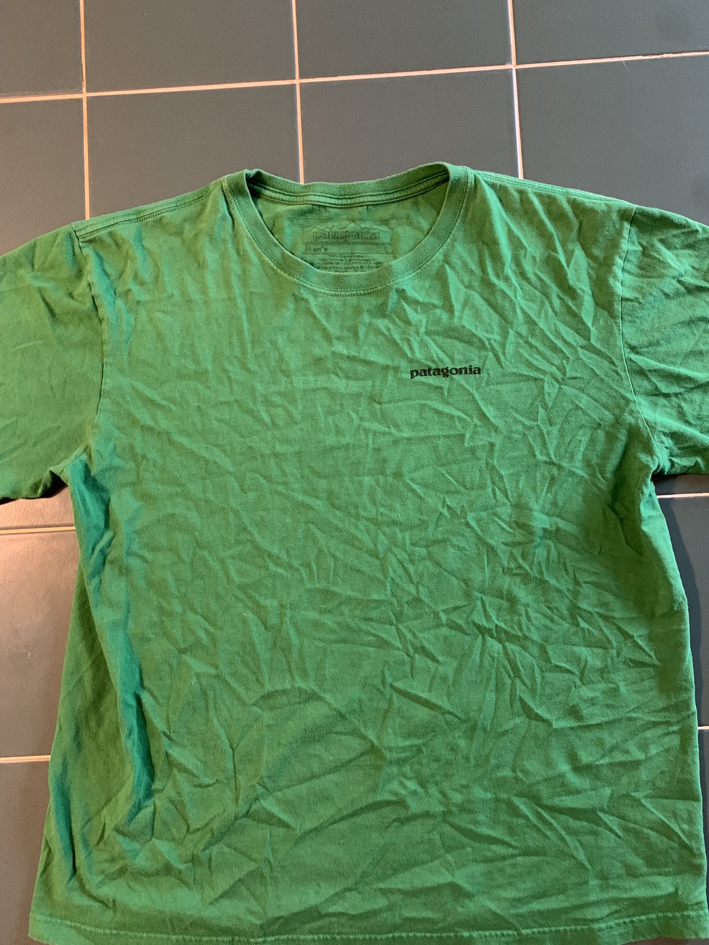 Patagonia Mountain Tee (Large)