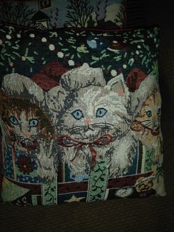#christmas#pillow#cat