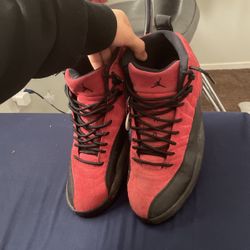 Jordan 12 Reverse Flu Game Size 10.5 Men 