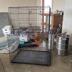 Dog Crate