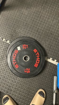 Weights 2 plates