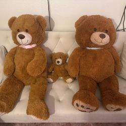 Bears