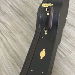 New Taylor Guitar Case