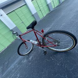 Red Diamondback Bike, Walking Style Exercise Machine