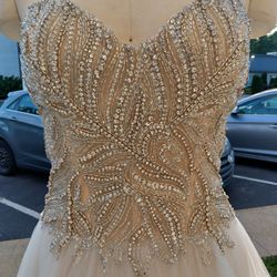 Prom/Wedding Dress