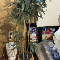 Fake Plant 