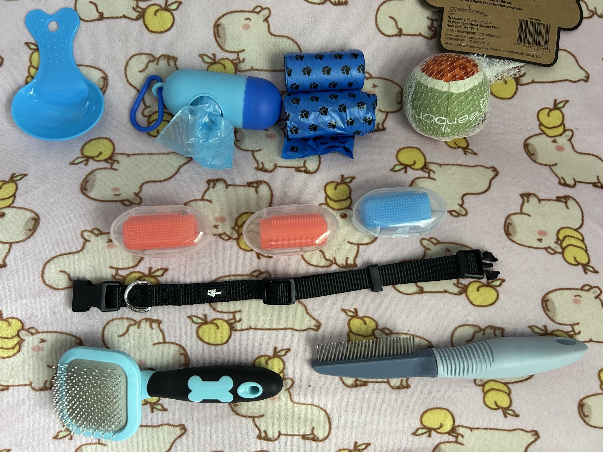 Dog Accessories