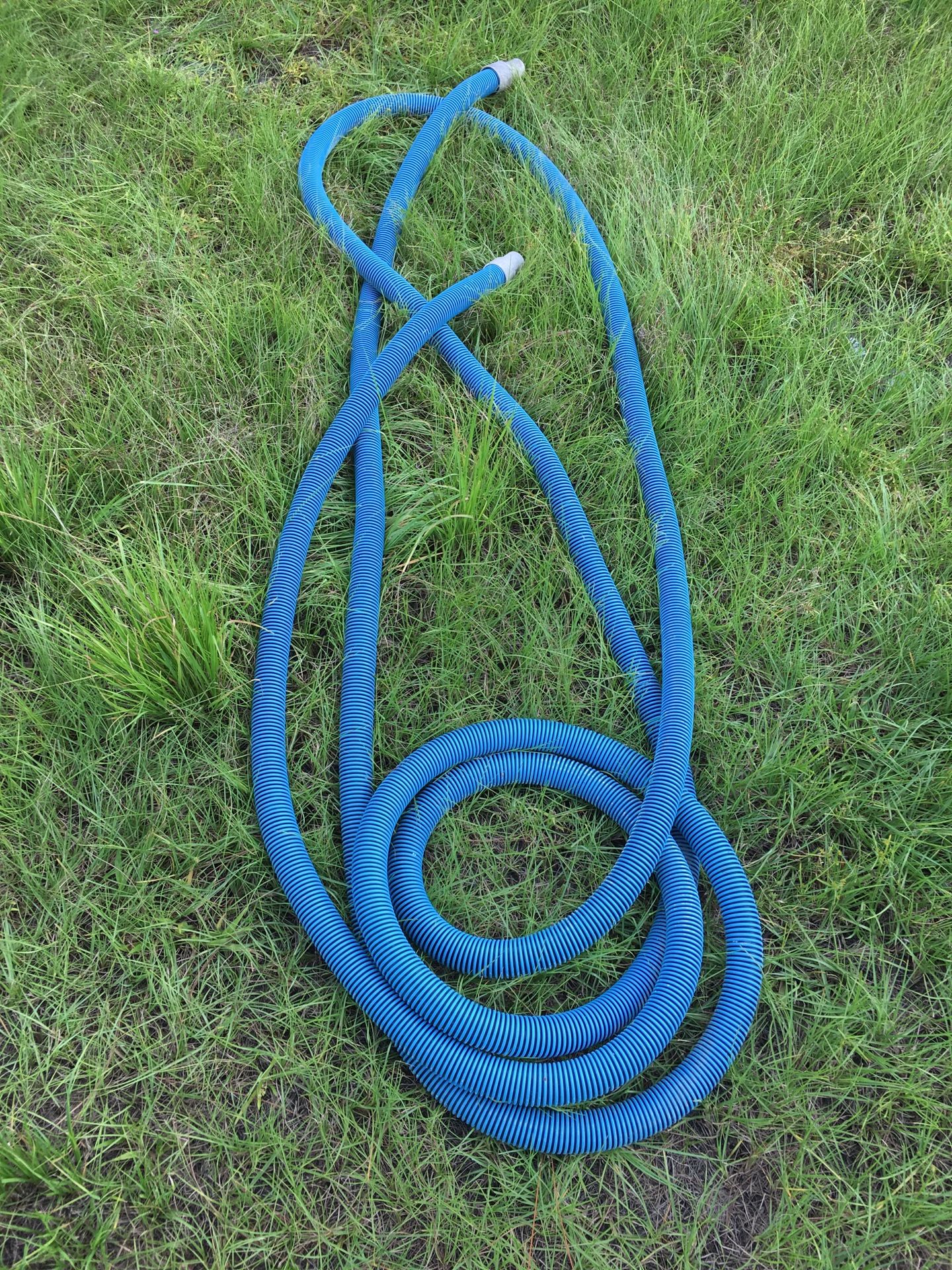 Barracuda hose for pool