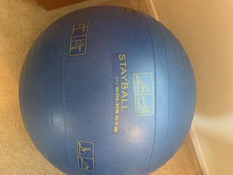 Large Exercise/stretch Ball