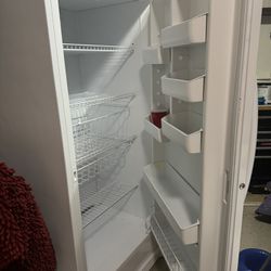 Upright Large Freezer