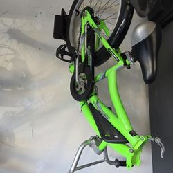 WeeRide CoPilot Bike Trailer