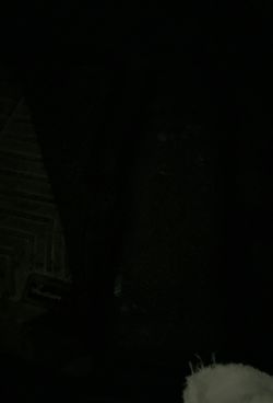 Weather tech floor Mats