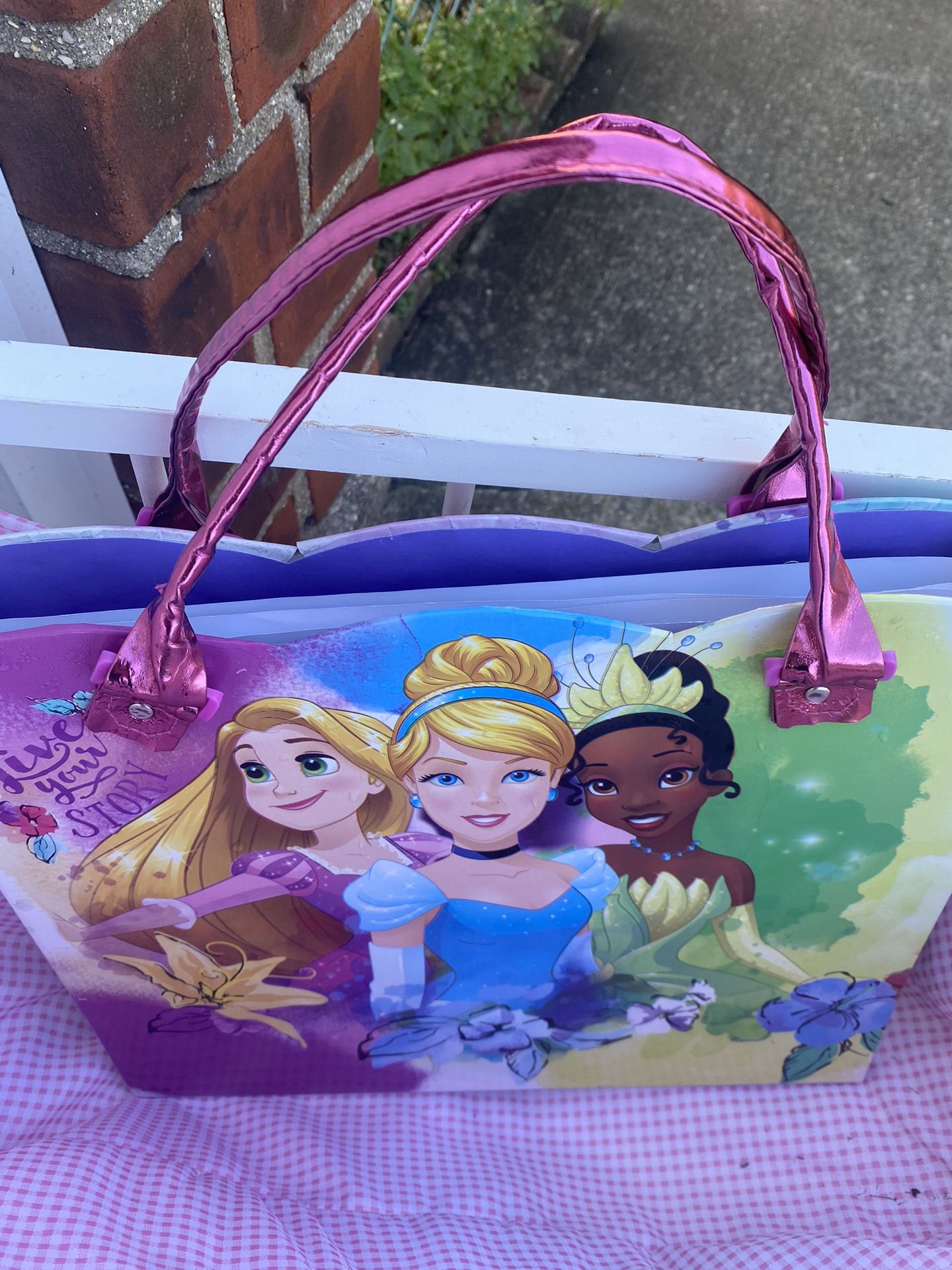 Disney Folder/ Purse