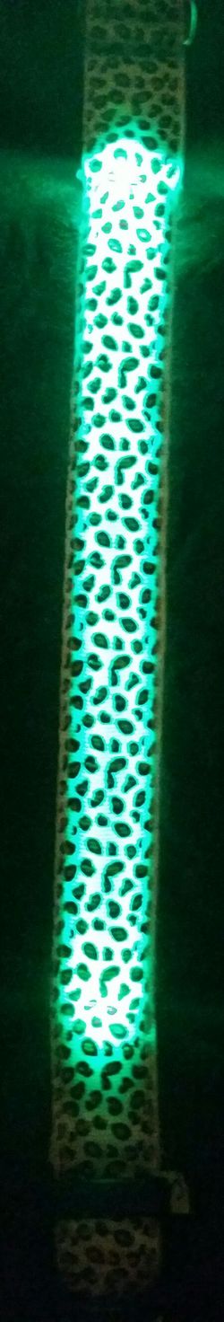 Dog Collar Neon Light Up
