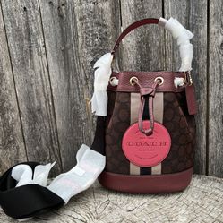 Coach Dempsey Bucket Bag 19