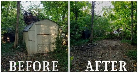 sheds