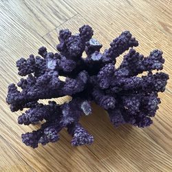 Purple Coral For Fish Tank