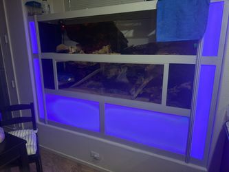 Custom Reptile Enclosures