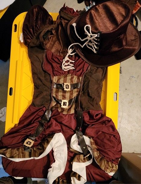 Steam punk Dress Costume