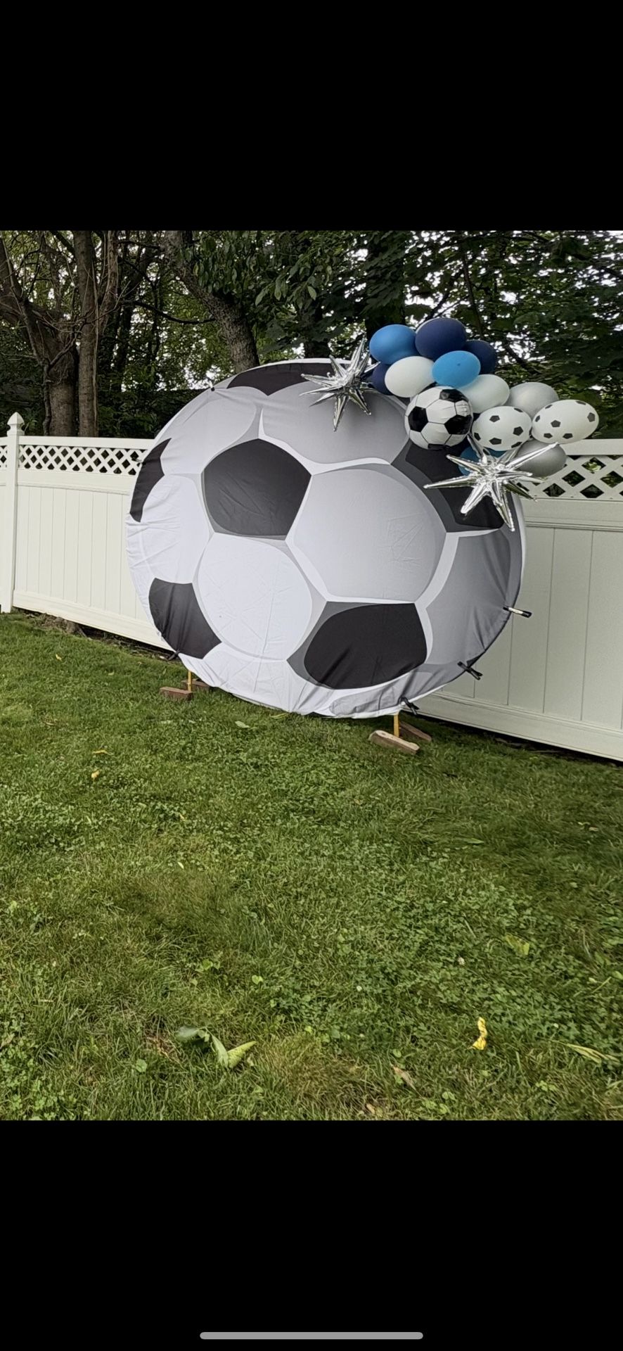 Back Drop With Balloons