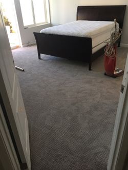 $350 Carpet