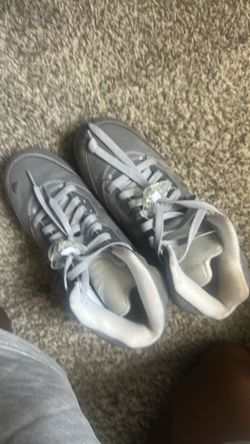 grey wolf jordan 5