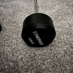 100lb Fixed Straight Curl Bar 